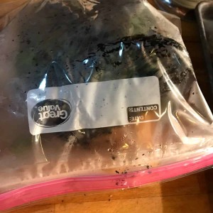 skinny-chili-rellenos3